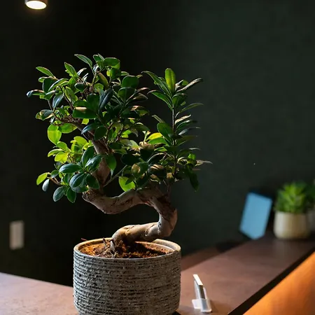 Sandkorn Hotel Nürnberg